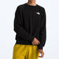 The North Face - Men's Evolution Crew Sweatshirt