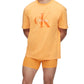 Camiseta Calvin Klein Masculina com Estampa de Logotipo Pride Laranja Tamanho XS