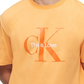 Camiseta Calvin Klein Masculina com Estampa de Logotipo Pride Laranja Tamanho XS