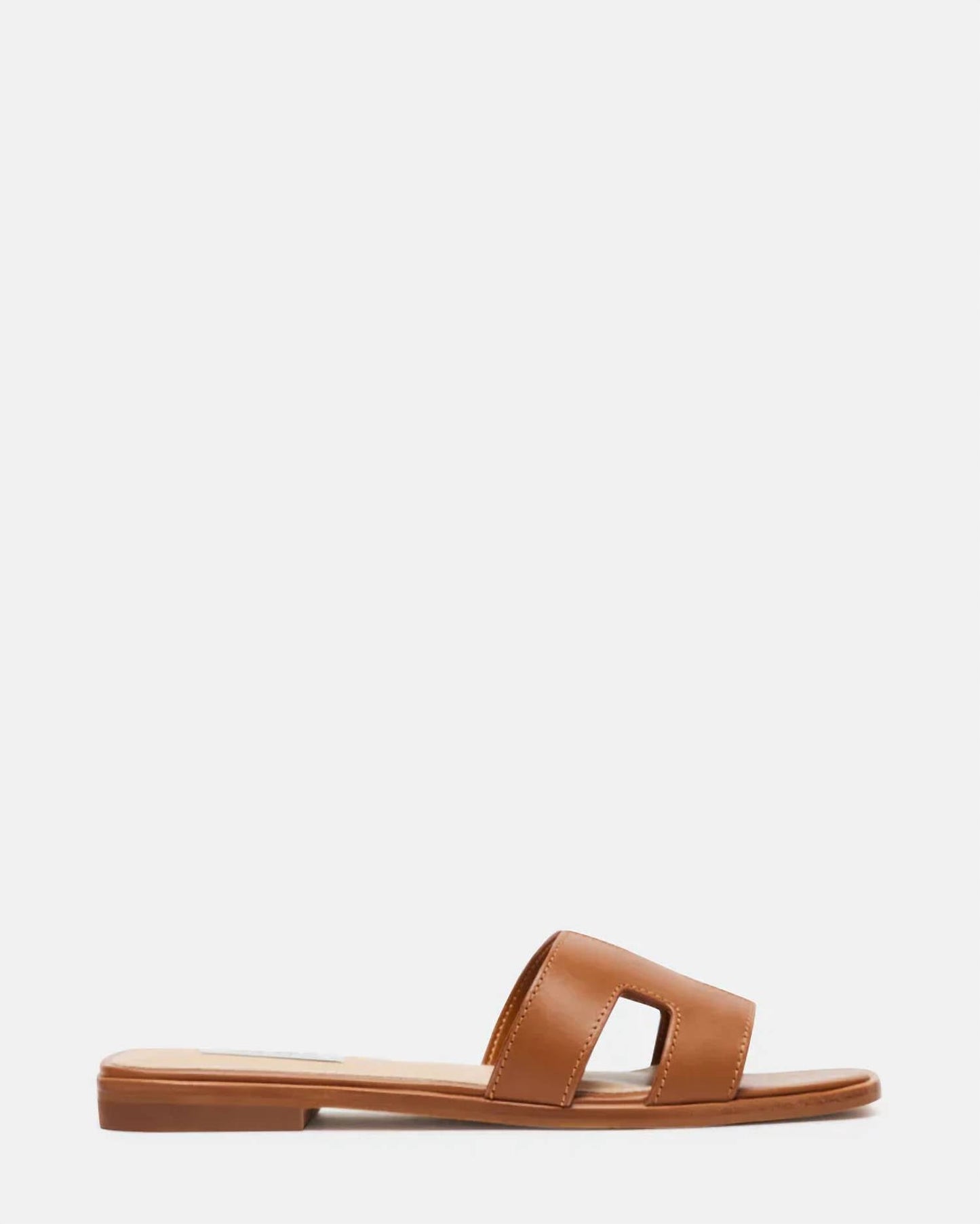 Steve Madden - Women's Haydn Sandals