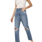 American Eagle Outfitters - Distressed Mom Jean