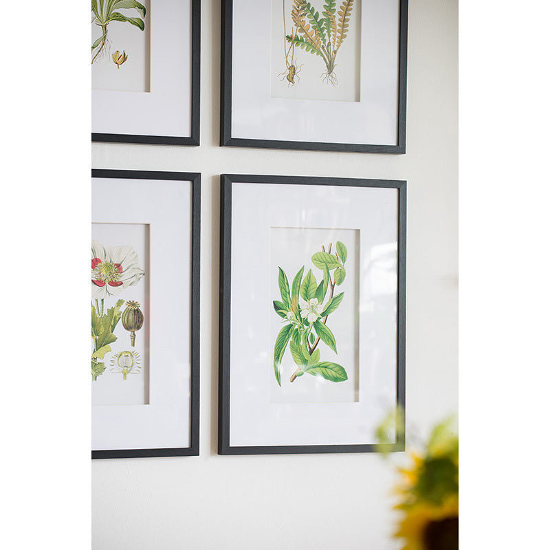 Verdure Elegance™ — Set of 4 Botanical Wall Art Prints