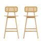 Bari Indoor Wood Barstool (Set of 2)