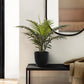 20" Tall, Artificial Plant, Palm, Indoor, Faux, Fake, Table, Greenery, Potted, Real Touch, Decorative - Green / Black