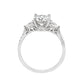 Allyanna Gifts - Women's Round Moissanite Cluster Ring