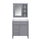 Bathroom Vanity With Medicine Cabinet and Storage