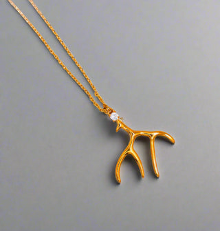 Colar Elegância de Chifre Dourado
