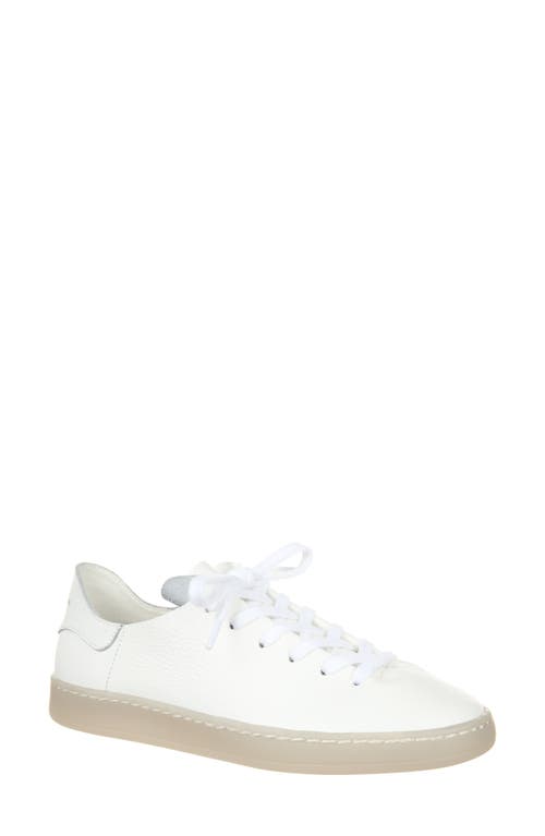 Sam Edelman Jaxon Sneaker - Bright White