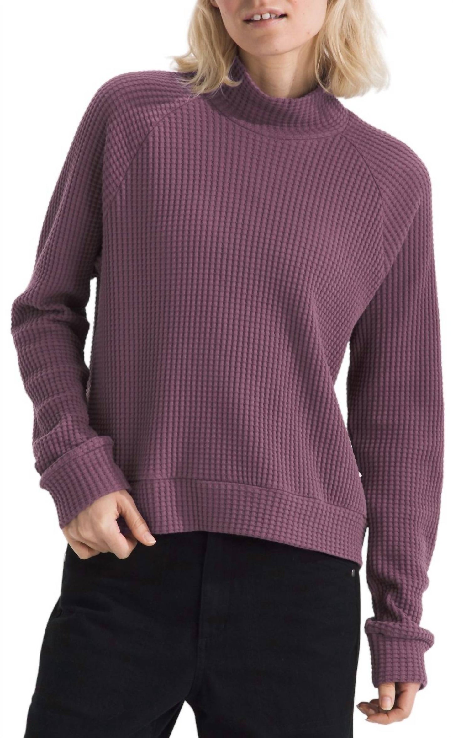 The North Face - Mock Neck Chabot Pullover