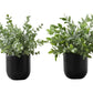 11" Tall Artificial Plant Eucalyptus Grass Indoor Decorative Set of 2