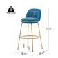 Rio Claro Indoor Upholstered Barstool Set of 2