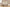 Dining Chair, Upholstered, Dining Room, Transitional (Set of 2) - Cream