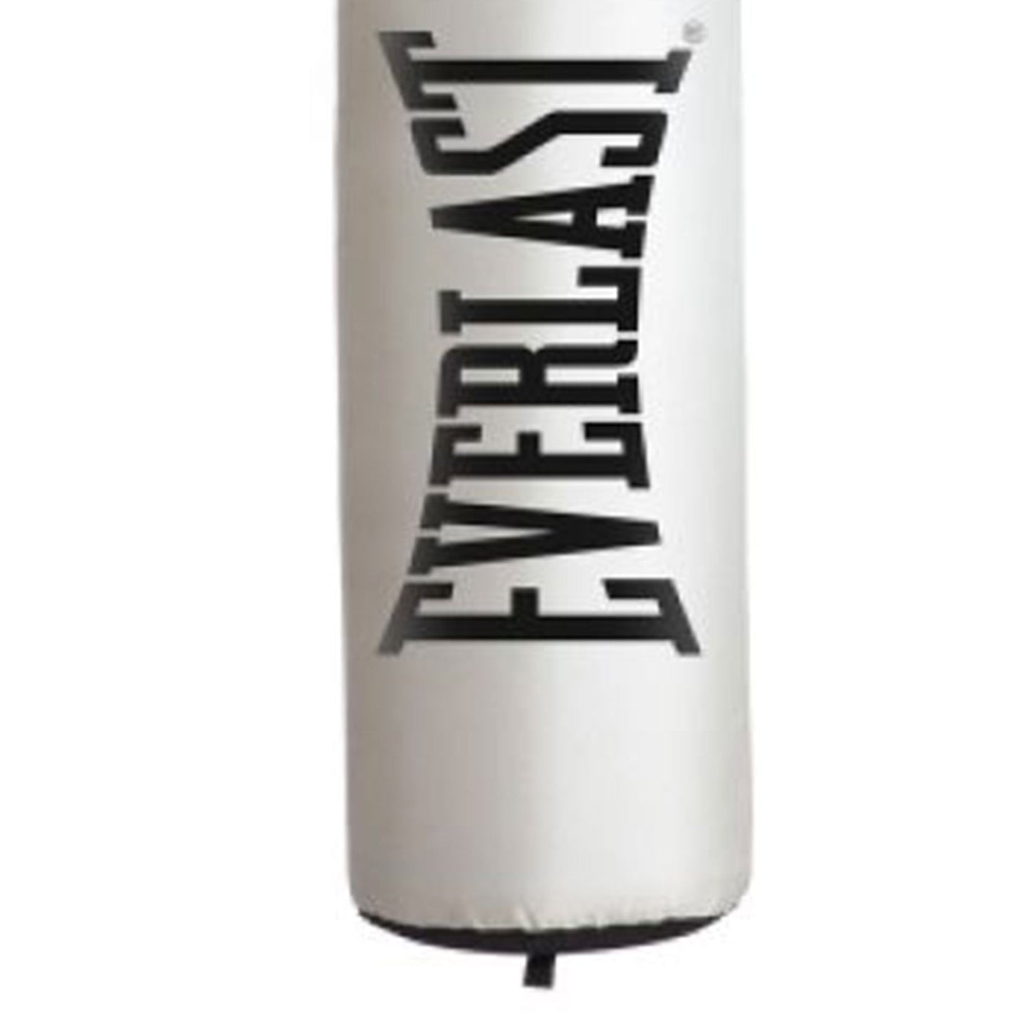 Saco de pancadas de boxe pesado Everlast Nevatear Fitness Workout 60 libras, platina