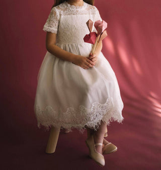 Only Little Once - Victorian Day Gown