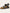 Naot - Women's Krista Sandal