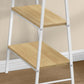 Computer Desk for Home Office with Storage Shelves