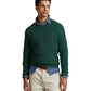 Suéter Ralph Lauren Masculino Donegal Wool Blend Gola Redonda Verde Tamanho P