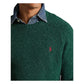 Suéter Ralph Lauren Masculino Donegal Wool Blend Gola Redonda Verde Tamanho P