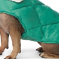 Casaco de cachorro acolchoado com gola de lã feminina 32 Degrees, verde, tamanho grande