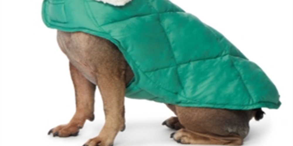 Casaco de cachorro acolchoado com gola de lã feminina 32 Degrees, verde, tamanho grande