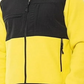 Jaqueta Denali 2 Masculina The North Face Amarela Tamanho X-G