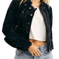 Jaqueta de veludo Dusk Till Dawn para mulheres Free People, preta, grande