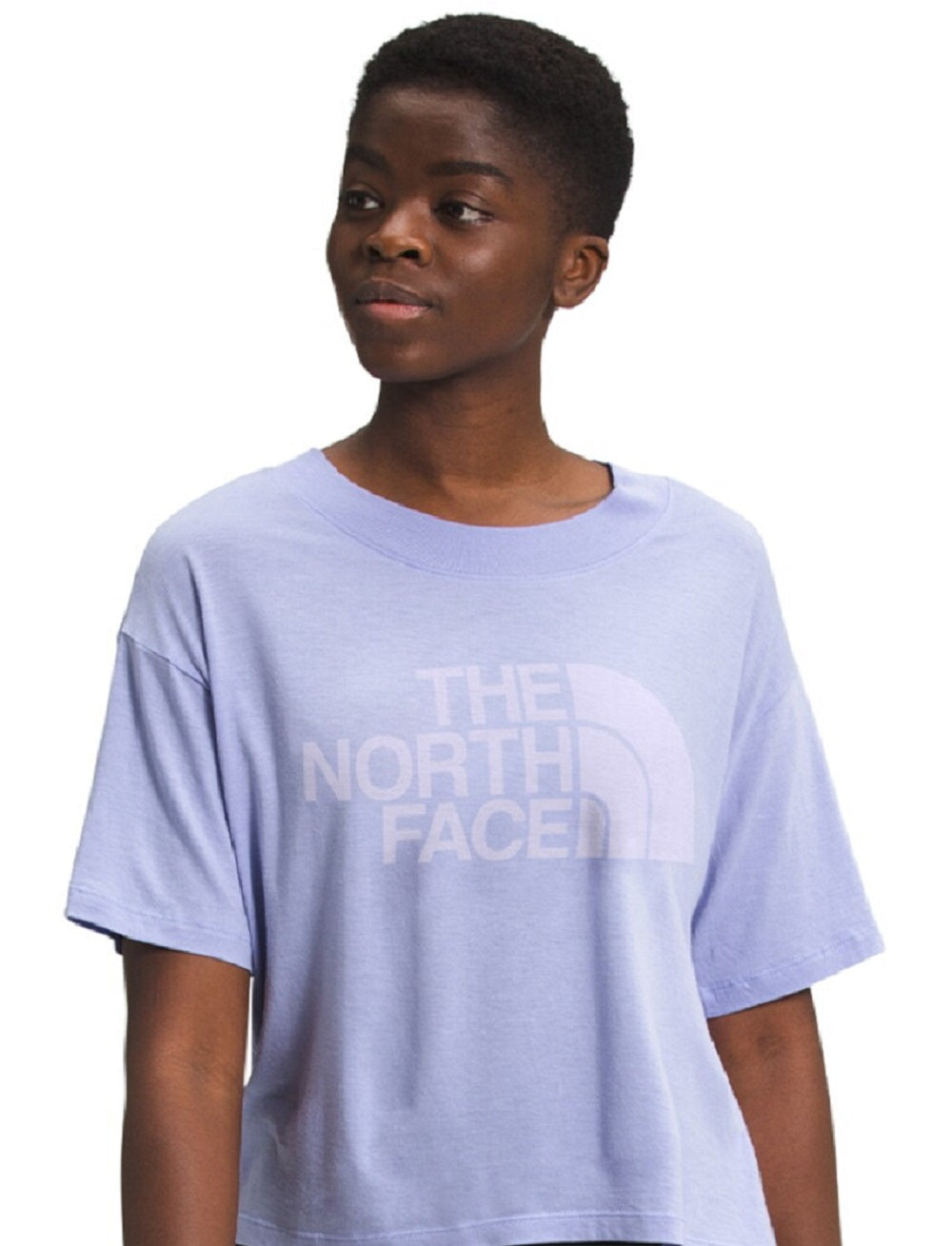 Camiseta feminina The North Face com estampa de logotipo, manga curta e gola redonda, roxa, tamanho grande