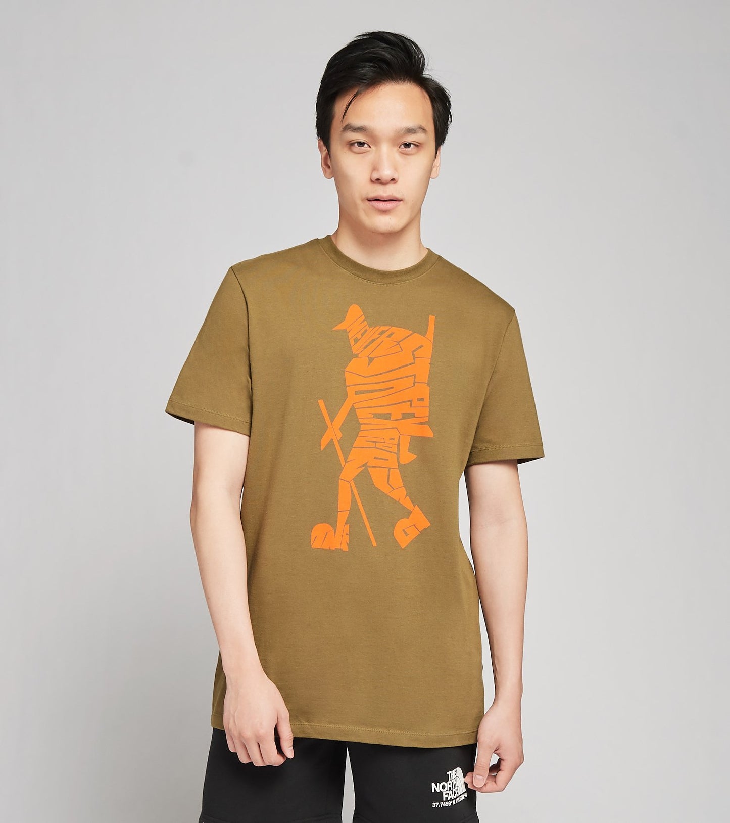 Camiseta masculina de manga curta The North Face, verde, tamanho XX-G
