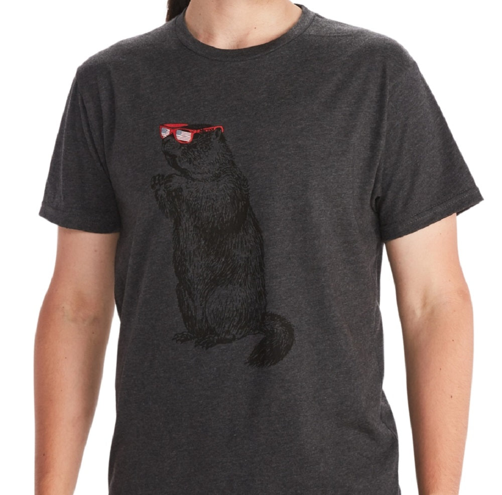 Camiseta Masculina Marmot Shades Cinza Tamanho P