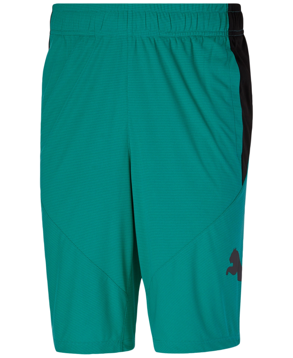 Puma Men's 10 Training Cat Shorts Green Size X-Large