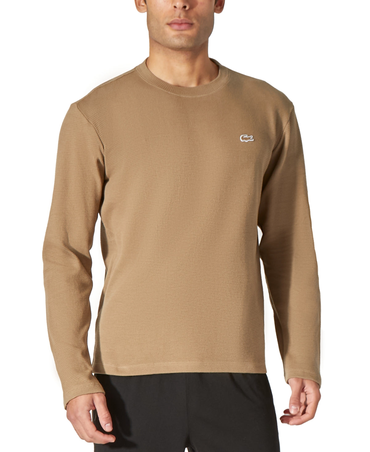 Camisa térmica masculina Lacoste marrom tamanho grande