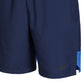 Shorts Nike Dri FIT Flex Woven Masculino Azul Tamanho Médio