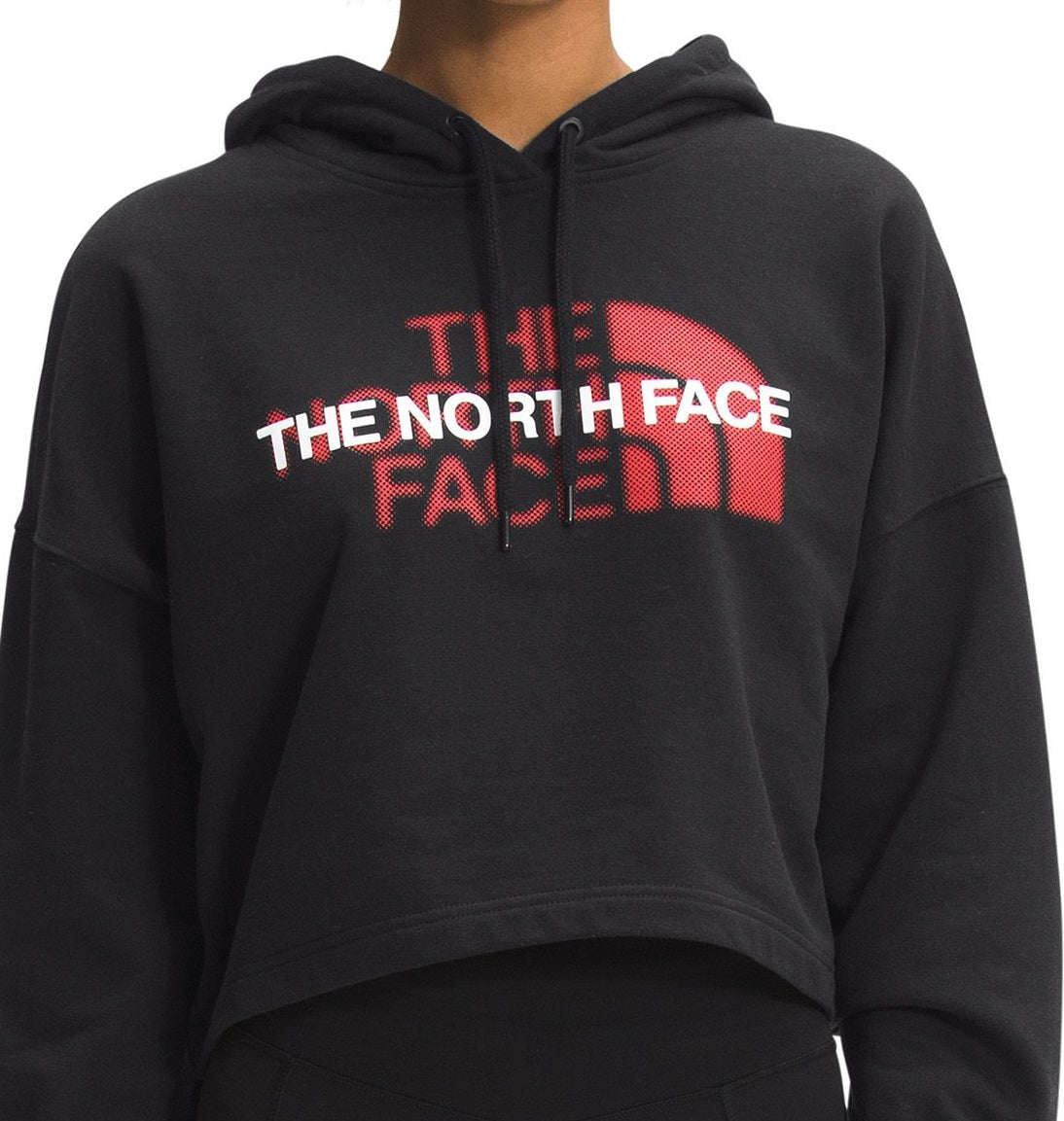 The North Face Moletom com capuz feminino Coordinates Logo, preto, tamanho X-G