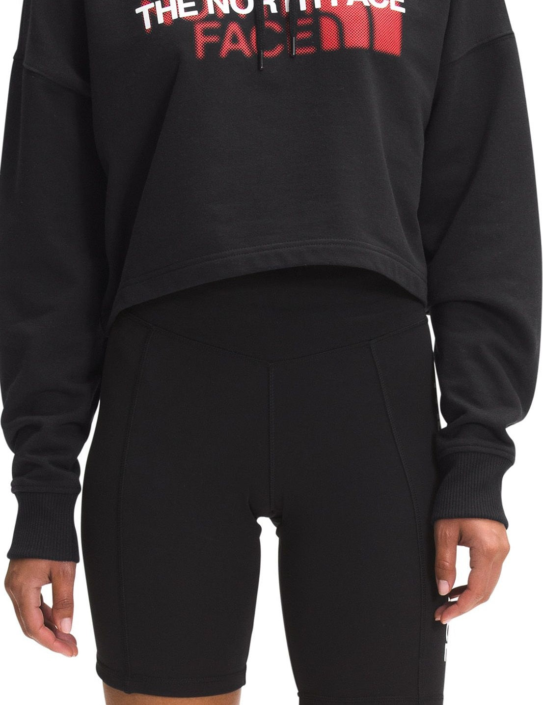 The North Face Moletom com capuz feminino Coordinates Logo, preto, tamanho X-G