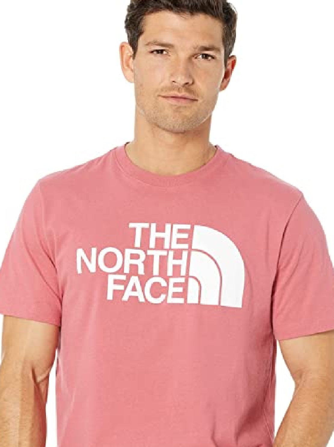 Camiseta The North Face Half Dome Masculina Rosa Tamanho X-G