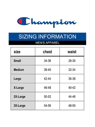 Moletom com capuz Champion Powerblend Graphic Masculino Roxo Tamanho Grande
