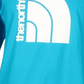 Camiseta gráfica de gola redonda de algodão masculina The North Face, tamanho grande, azul