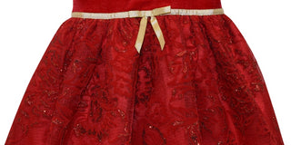 Blueberi Boulevard Baby Girl's Fit and Flare Velvet Flocked Lace Dress Red Size 6-9MOS