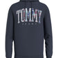 Tommy Hilfiger Moletom com capuz masculino regular fit com logotipo xadrez azul tamanho XS