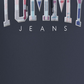 Tommy Hilfiger Moletom com capuz masculino regular fit com logotipo xadrez azul tamanho XS