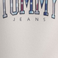 Tommy Hilfiger Moletom com capuz masculino com estampa xadrez regular fit, branco, tamanho pequeno