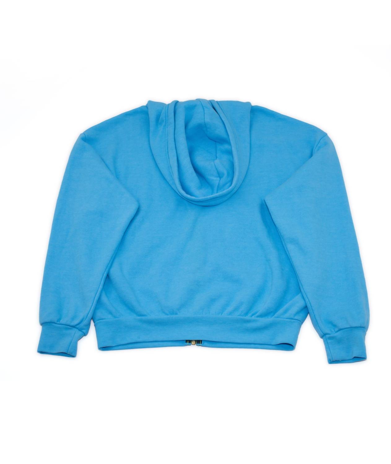 Aviator Nation - 5 Stripe Zip Hoodie