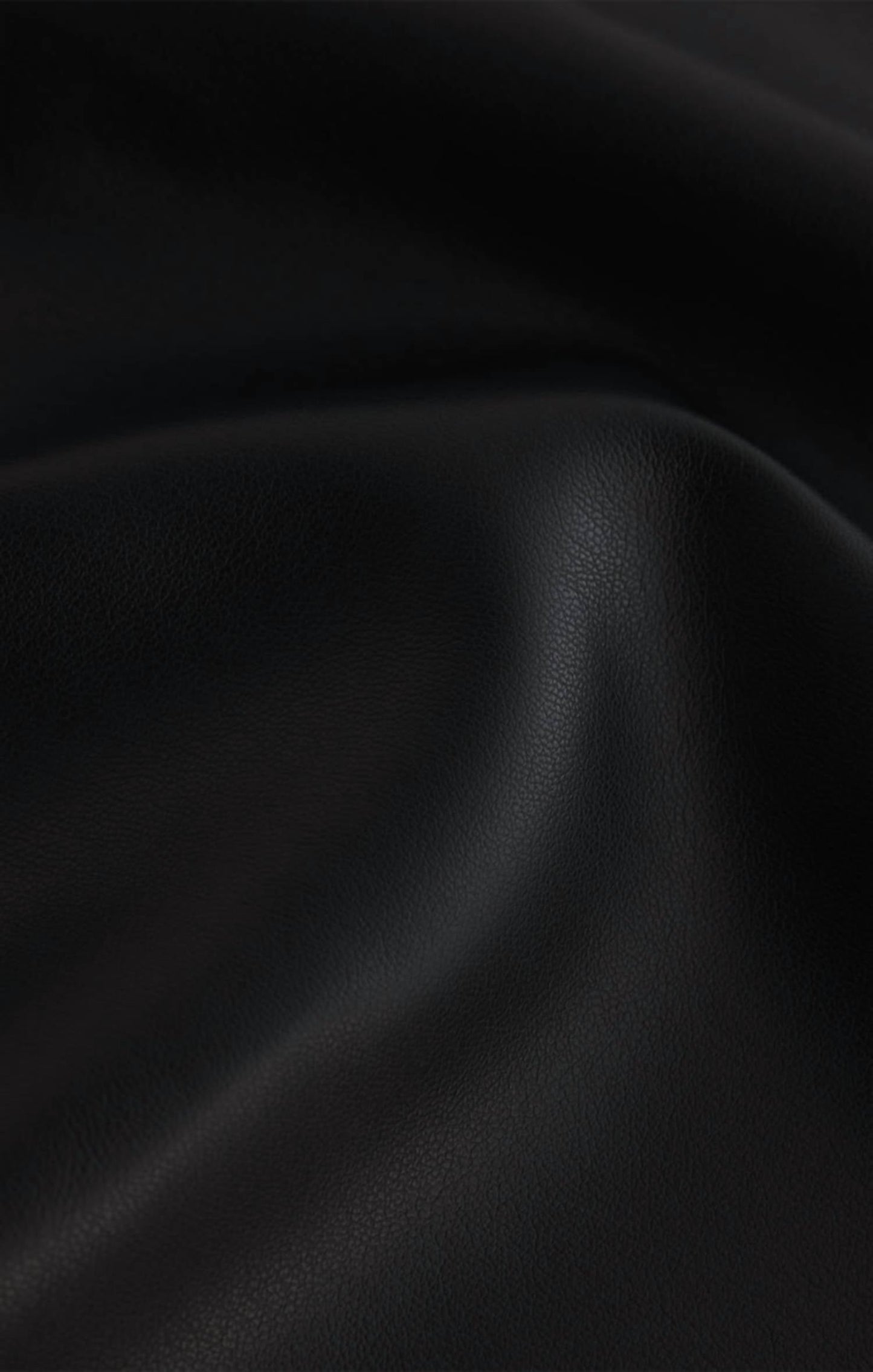 Z Supply - Allegra Faux Leather Mini Skirt