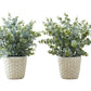 13" Tall Artificial Eucalyptus Grass Plant Set of 2