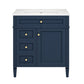 Bathroom Vanity With Top Sink, Storage Cabinet With 2 Drawers, Tip Out Drawer