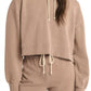 Z Supply - JACOBI SWEATSHIRT