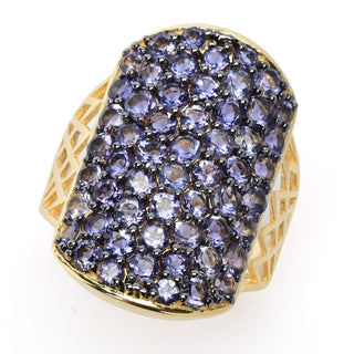 Anel "Dog Tag" com pedra preciosa exótica banhado a ouro 18K