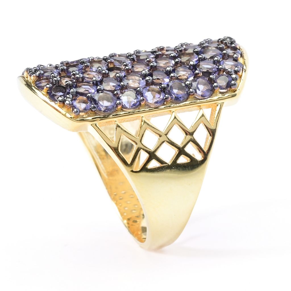 Anel "Dog Tag" com pedra preciosa exótica banhado a ouro 18K