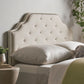 Charismatic Queen Size Headboard with Button Tufting and Nailhead Trim