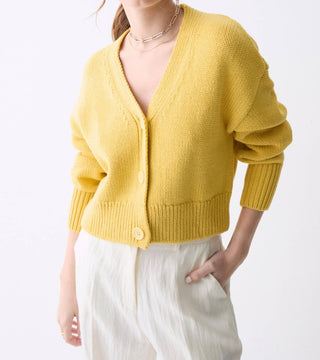 Deluc - Cardigan Ayden